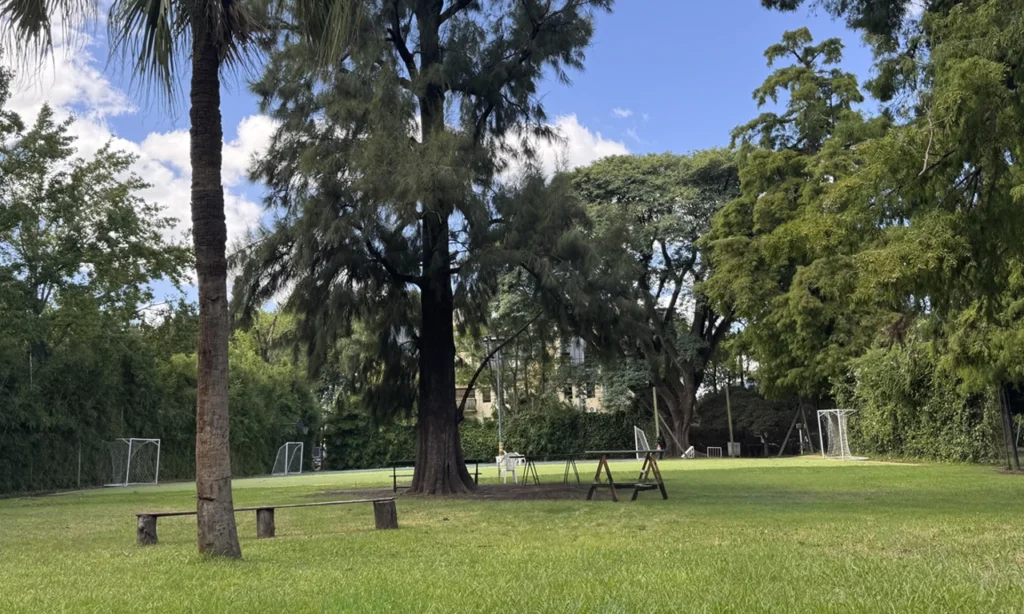 espacio de parque L'Aviron