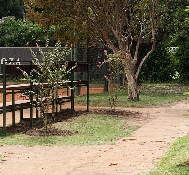 mantenimiento jardines L'Aviron
