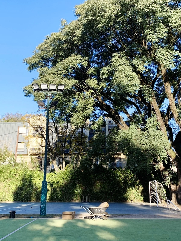 Nueva iluminación cancha de cemento L'Aviron
